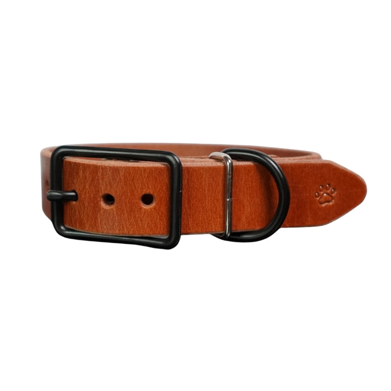 The Z Collar | Brown