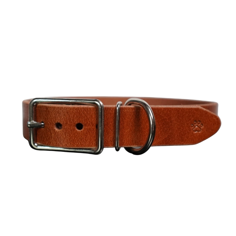 The Z Collar | Brown