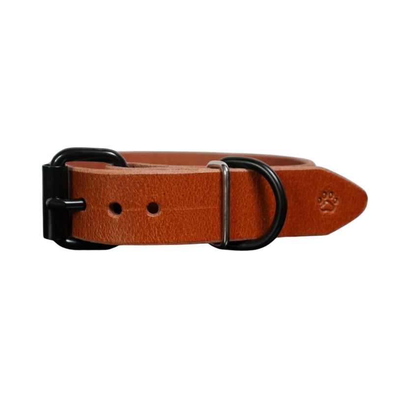 The Z Collar | Brown