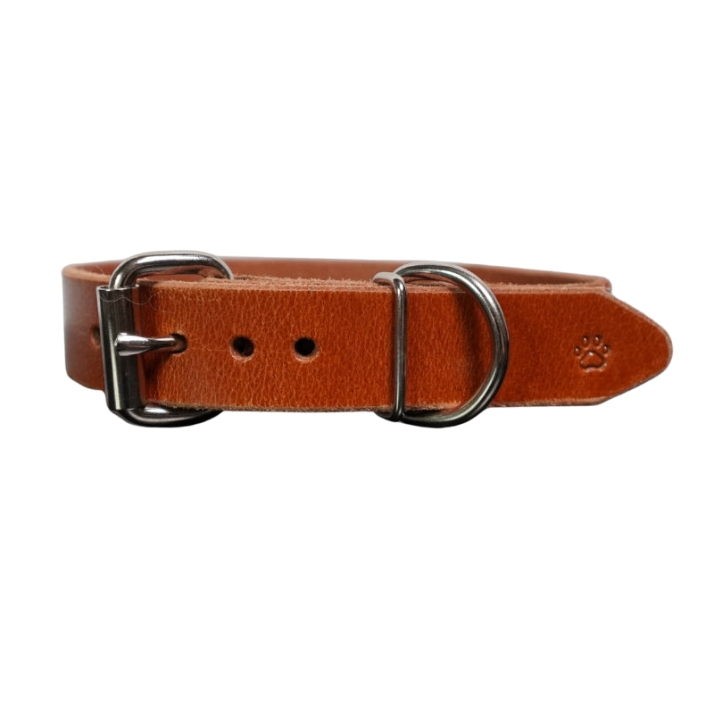 The Z Collar | Brown