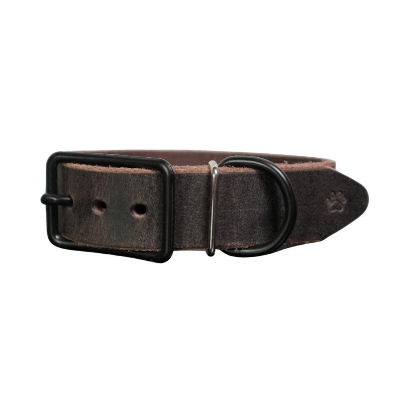 The Z Collar | Crazy Horse
