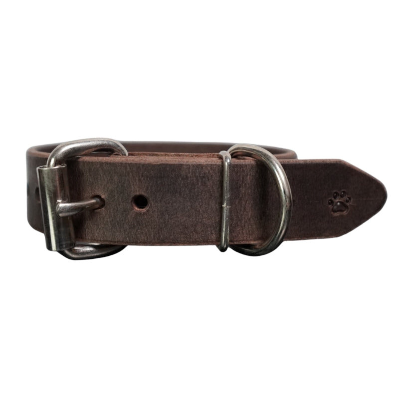 The Z Collar | Crazy Horse
