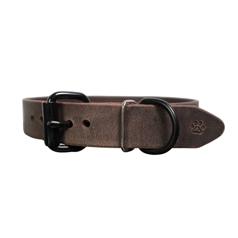 The Z Collar | Crazy Horse