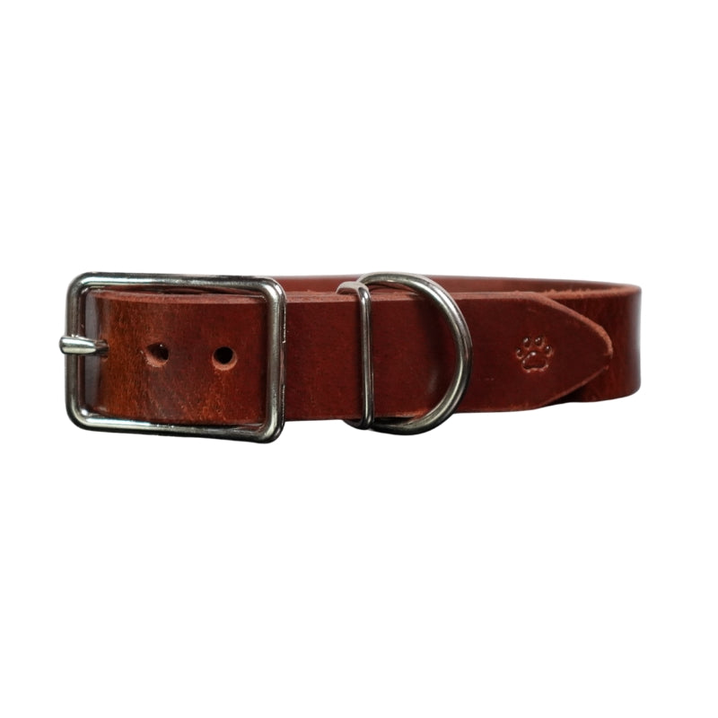 The Z Collar | Dark Brown