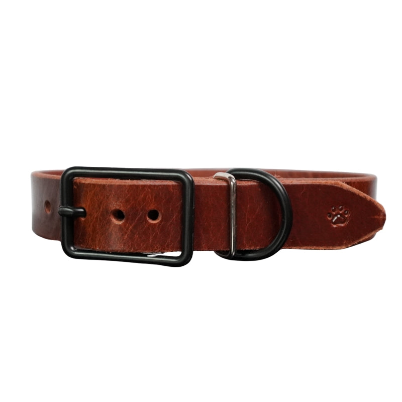The Z Collar | Dark Brown