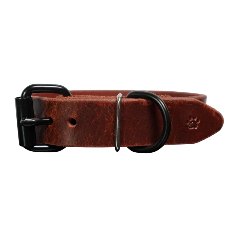 The Z Collar | Dark Brown
