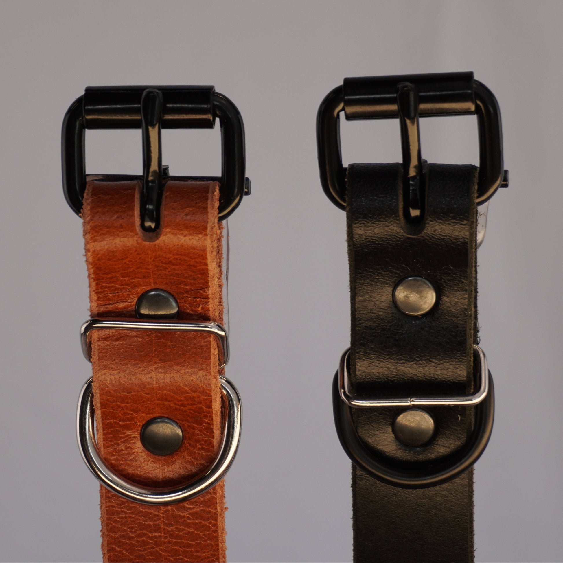 The Z Collar - Two Pack | Unidog