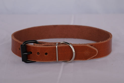 The Z Collar - Brown