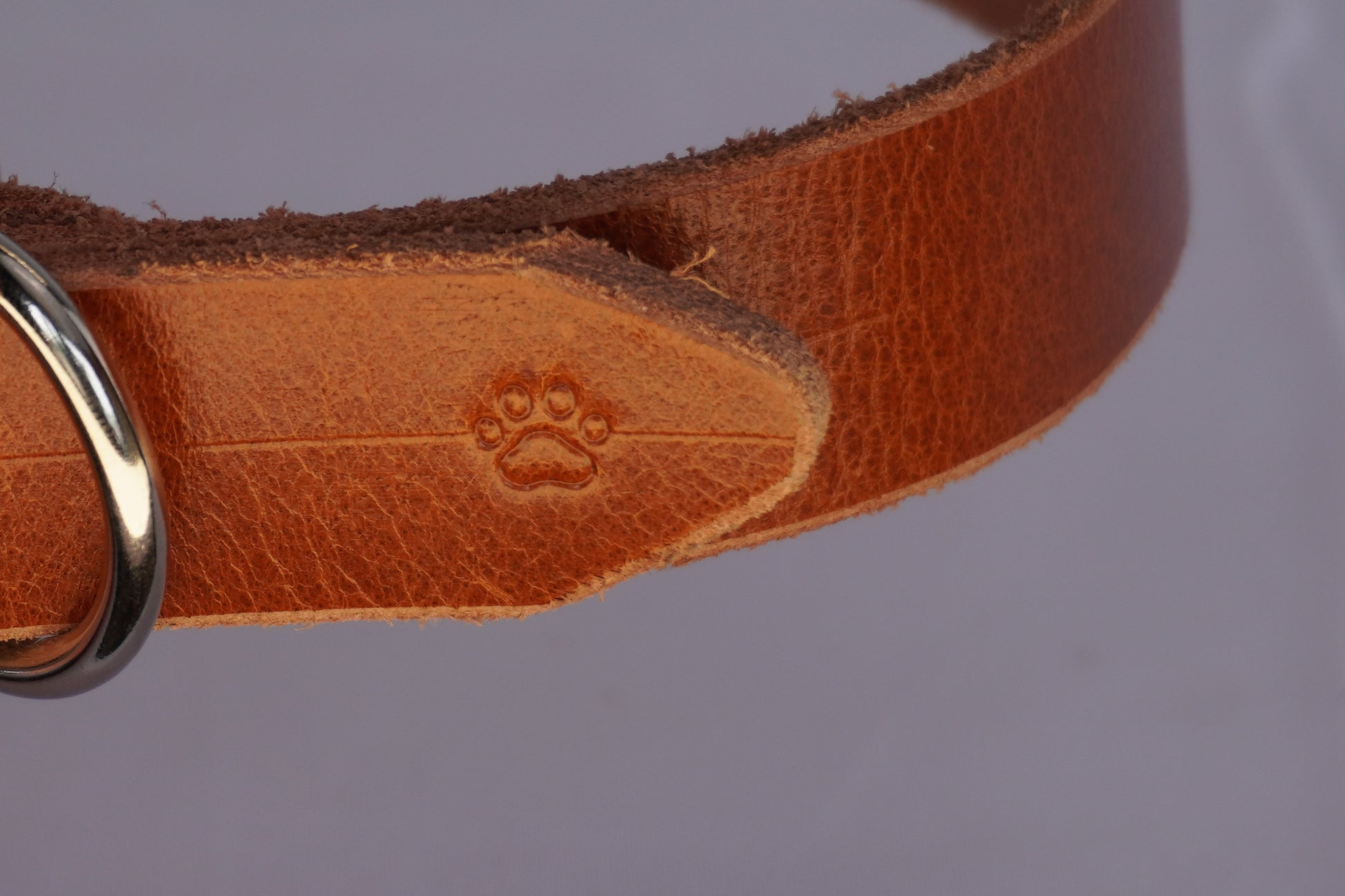 The Z Collar - Brown
