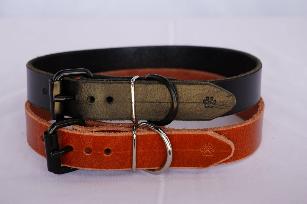 The Z Collar - Two Pack | Unidog
