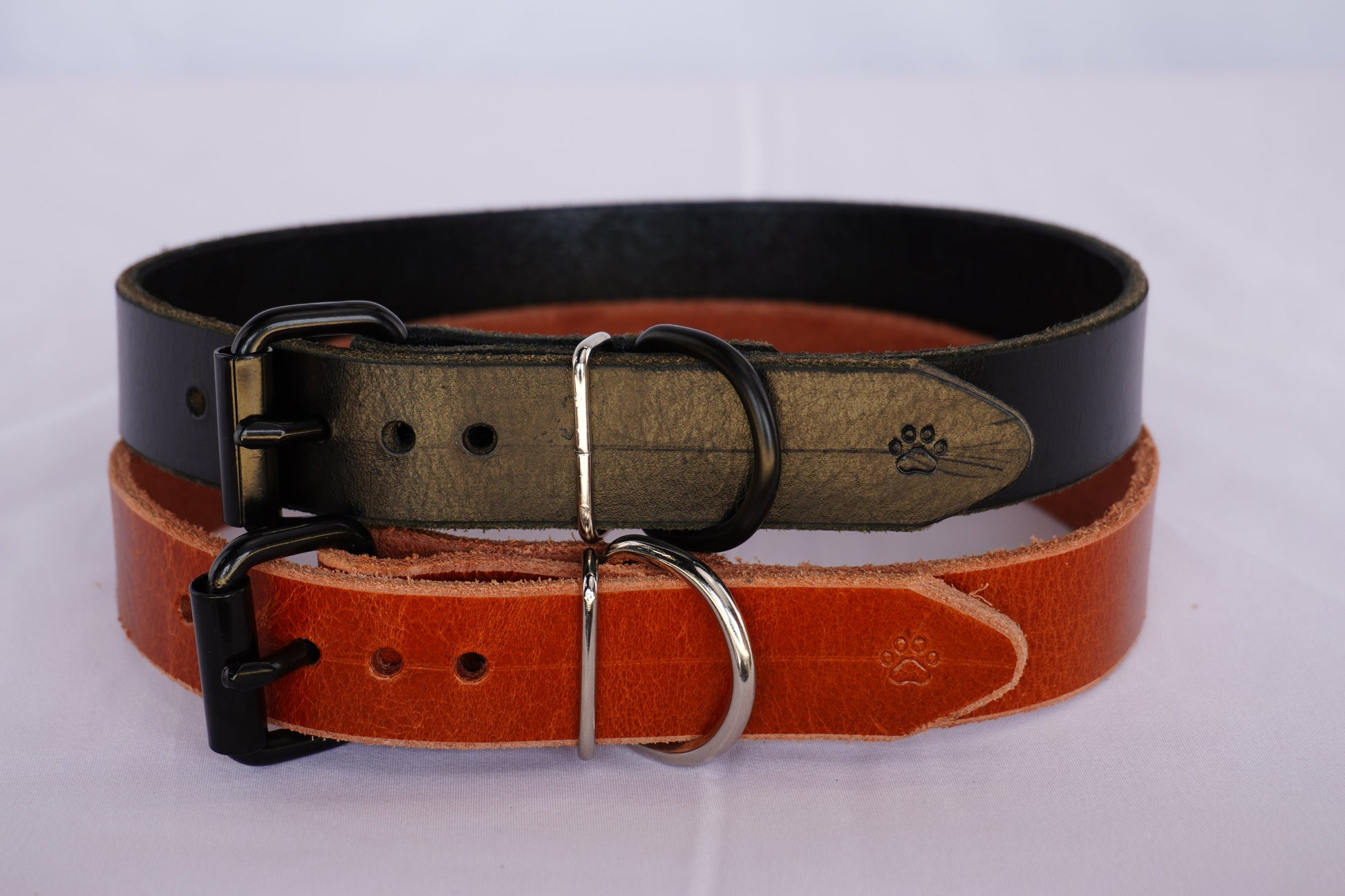 The Z Collar - Two Pack | Unidog