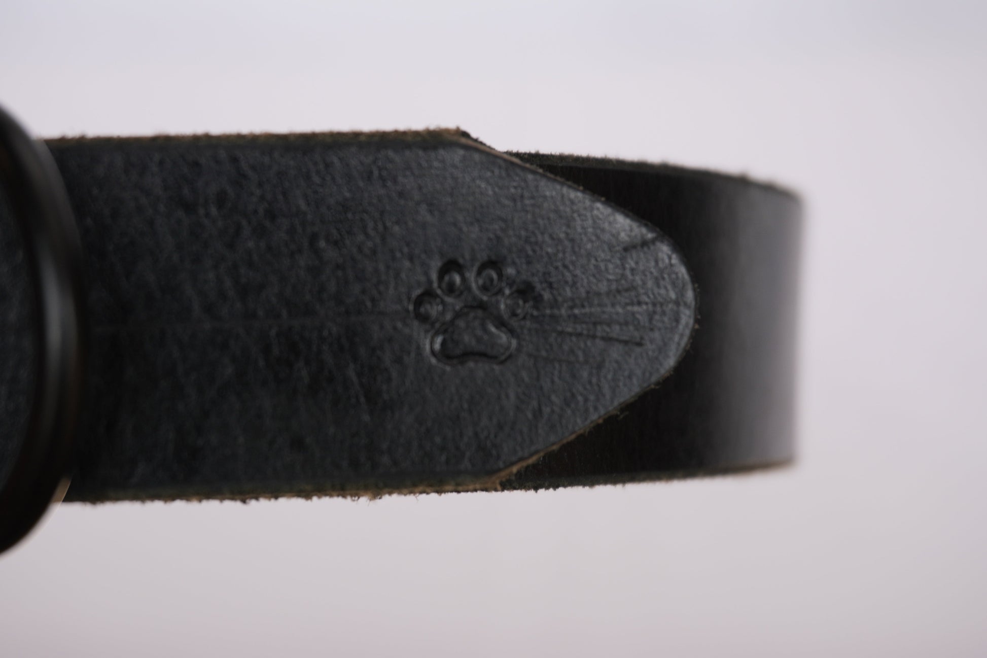The Z Collar - Black