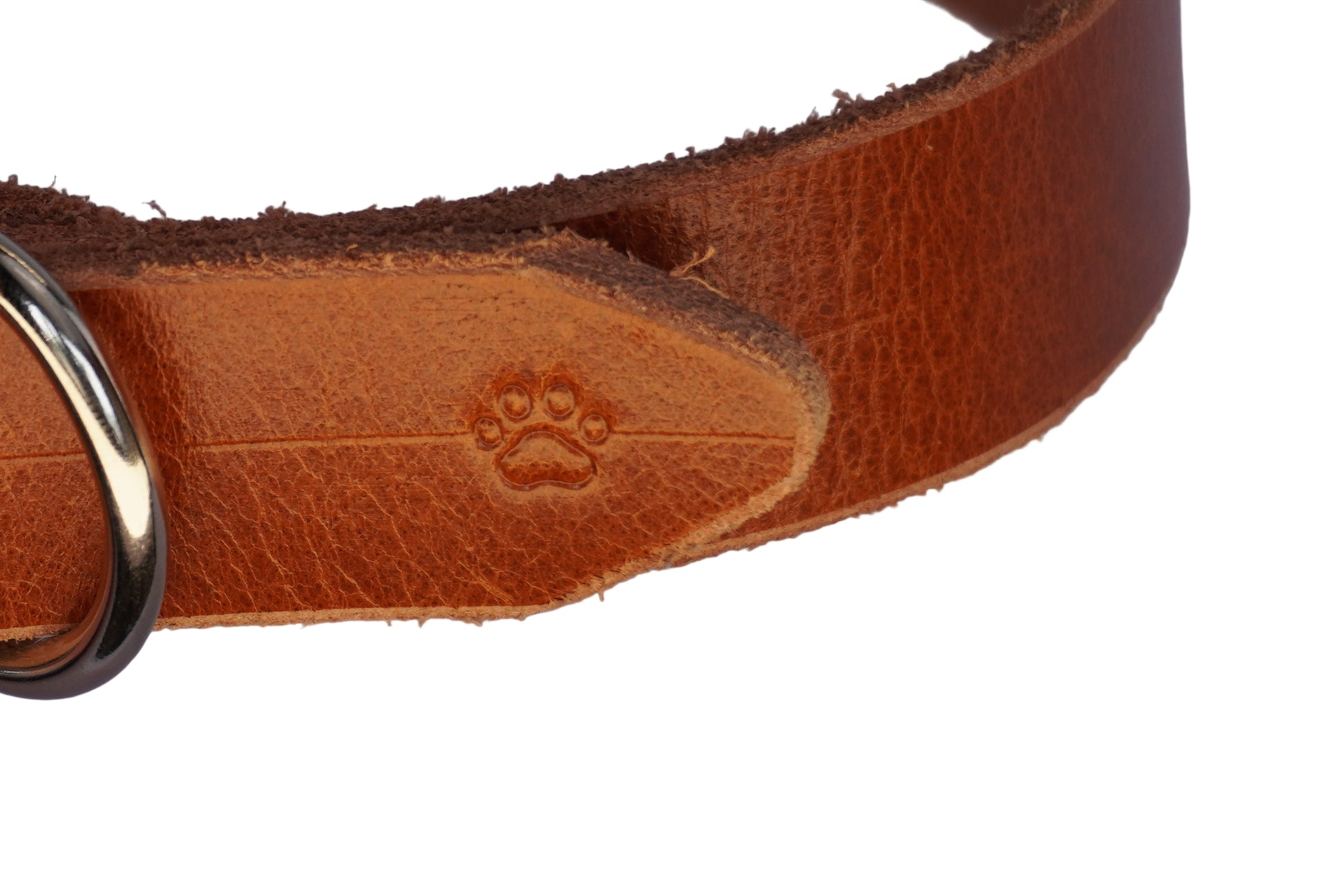 The Z Collar | Brown